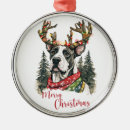 Search for cute sayings christmas tree decorations Trendy