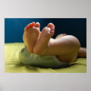 Search for blue footed posters Toes