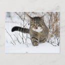 Search for yellow snow postcards Outdoors