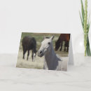 Search for herd cards Animal