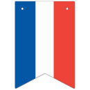 Search for bastille day French flag