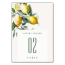 Search for lemon table cards Boho