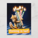 Search for chipmunk birthday cards Funny