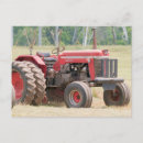 Search for sunny horizontal postcards Vintage