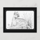 Search for cougar postcards Cat