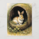 Search for burrowing postcards Wildlife