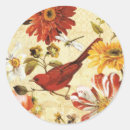 Search for white bird stickers Orange