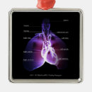 Search for human body part christmas tree decorations Heart