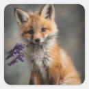 Search for kit stickers Wildlife