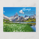 Search for always postcards Rejoice