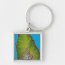 Search for topographical map photography Outdoors