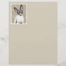 Search for rat terrier Puppy