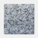 Search for crystal magnets Frost