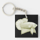 Search for betta accessories Aquarium