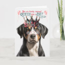 Search for berner cards Dogs