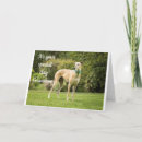 Search for adult grandson birthday cards Teen