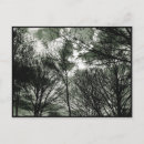 Search for black clouds postcards Sky