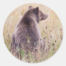 Search for omnivorous stickers Omnivore