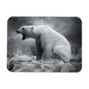 Search for captive cards Animal