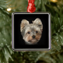 Search for yorkshires christmas tree decorations For pets