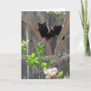 Search for sunlight cards Black