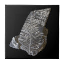 Search for rock tiles Foliage