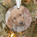 Search for mixed breed dog christmas tree decorations Goldendoodle