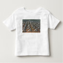 Search for vintage postcard tshirts Navy