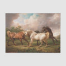 Search for paint horse tissue paper Decoupage