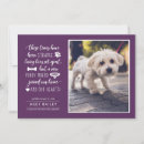 Search for new puppy invitations Cute