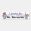 Search for st bernard bumper stickers Animals