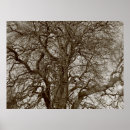 Search for early spring posters Trees