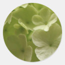 Search for green hydrangeas stickers Garden