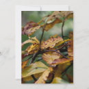 Search for autumn leaves thanksgiving invitations Feast