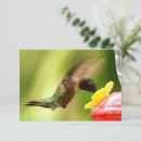 Search for hummingbird note cards Nature