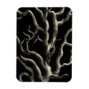 Search for tanning magnets Coastal