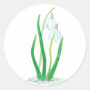Search for snowdrops stickers Floral