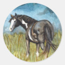 Search for wild ponies stickers Cowgirl