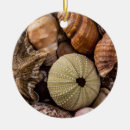 Search for mixed christmas tree decorations Nature