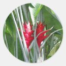 Search for perennials labels Botanical