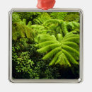 Search for volcano christmas tree decorations Tropical