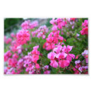 Search for romantic bedroom posters Beautiful