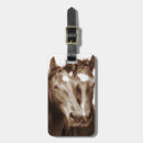 Search for horse luggage tags Animal