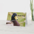 Search for duck thank you cards Cute