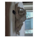 Search for towels posters White