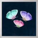 Search for colourful insect posters Watercolor