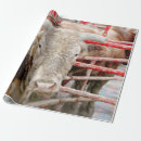 Search for rodeo wrapping paper Country
