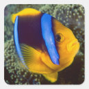 Search for great barrier reef stickers Stuart westmorland