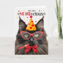 Search for maine coon cat birthday cards Cats