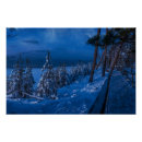 Search for winter path posters Forest